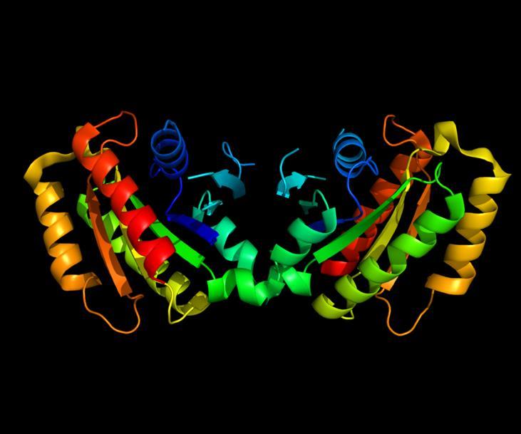 LRRK2 Leucine-rich repeat kinase 2 (LRRK2) mutations are a common cause of PD Most common mutation is G2019S Up to 4% of sporadic PD in North American clinic populations 25% of sporadic PD in
