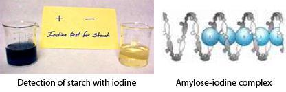 Detection of end point A solution of iodine in aqueous iodide has an intense yellow to brown colour.
