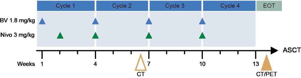 Methods Target enrollment: ~55 patients Patients were treated in 21-day cycles for up to 4 cycles (12 weeks) During Cycle 1, BV was