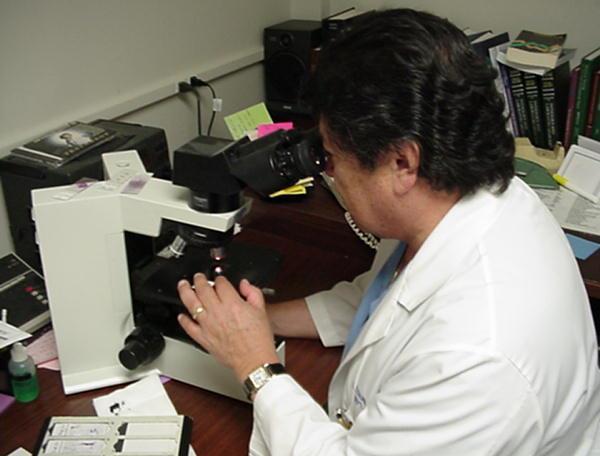 The pathologist then studies the slide to determine pathological states within the tissues.