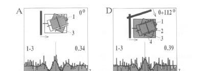 Figure 5.11 gives an example of the experiment by Engel et al. (1991a). The authors recorded from two to four sites. The thick line shown in figures 5.