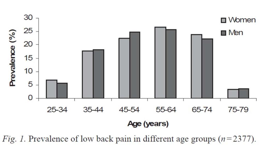 3 Dijken CB-V, Fjellman-Wiklund A, Hildingssn C. Lw back pain, lifestyle factrs and physical activity: a ppulatin-based study. J Rehabil Med. 2008;40:864 9.