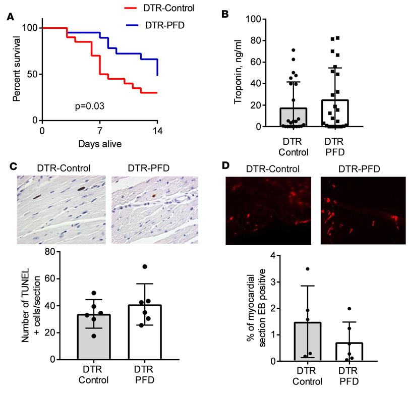 Figure 1. Effect of pirfenidone on mortality and cardiac myocyte cell death after DT treatment.
