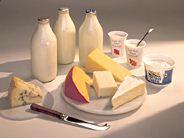 Dairy Major Nutrient: Minerals, Protein Serving 1 ½ oz cheese