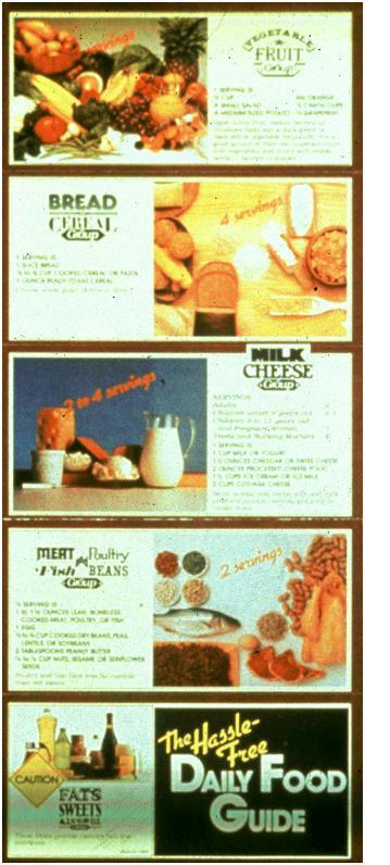 1979 Hassle Free-Daily Food Guide Basic
