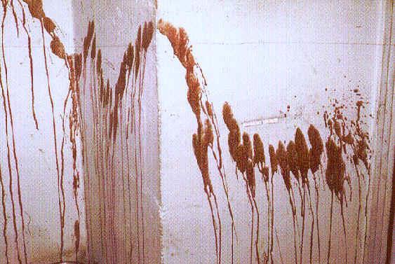 2. Arterial spurts or gushes Bloodstain pattern(s) resulting from blood