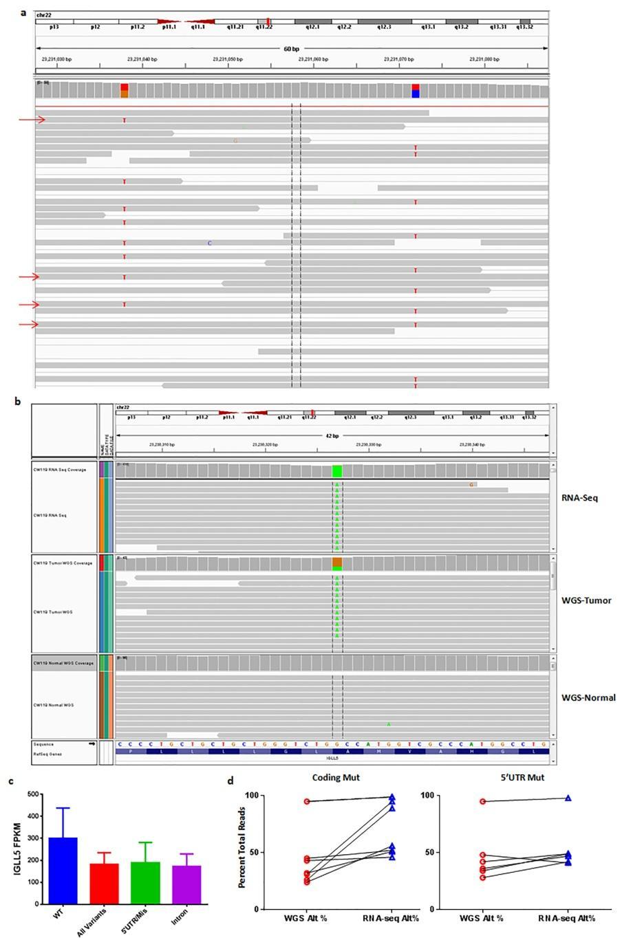 Supplementary Figure 1: Features of IGLL5 Mutations in CLL: a) Representative IGV screenshot of first intron IGLL5 mutation depicting biallelic mutations.