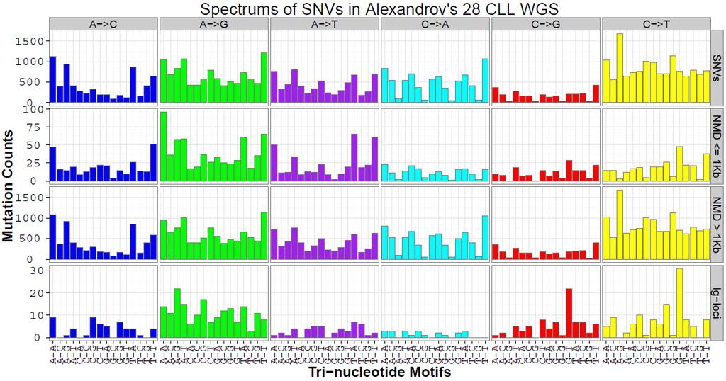 a Distribution of NMDs in Alexandrov s 28 CLL WGS b c Mutation Signatures Discovered in CLL 28 WGS from Alexandrov et al.