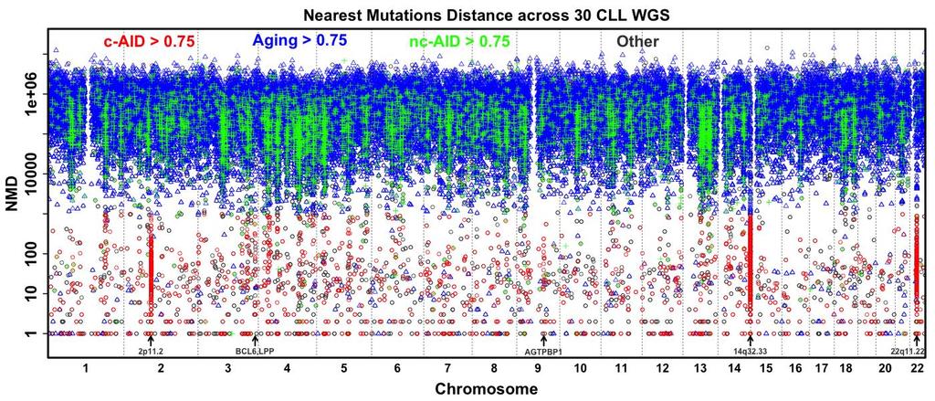 Supplementary Figure 4: Genome-wide Distribution of Signature Specific Mutations: Nearest mutation distance (NMD) of all ssnvs in 30 CLL cases is plotted according to its genomic