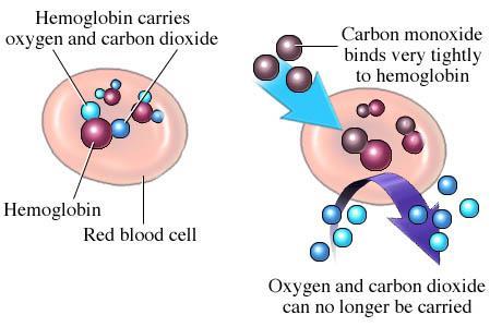 Hemoglobin and Carbon Monoxide Carbon monoxide comes from smoking. Hemoglobin picks up carbon monoxide 200x more strongly than oxygen.
