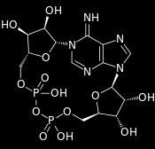 acid ceramide