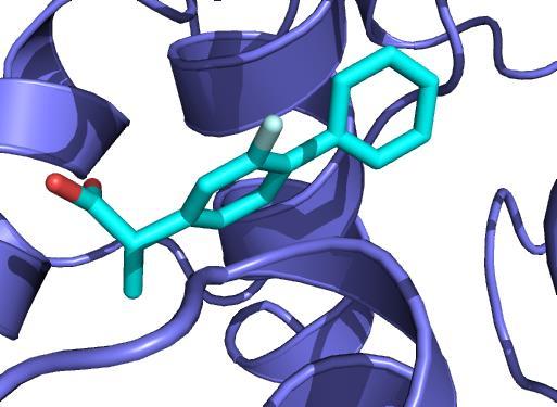 recognition of the ligand at its receptor site An
