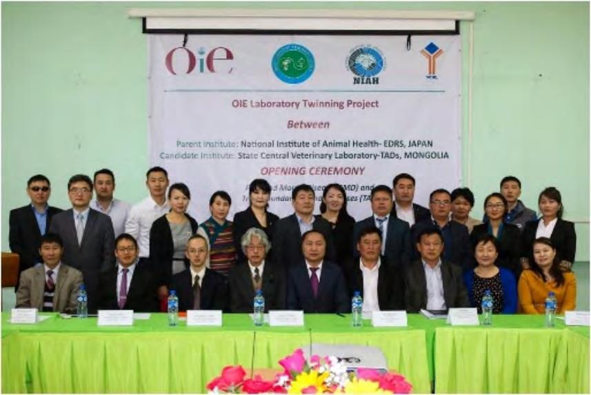 Technical support in the fight against FMD and TADs for Mongolia through the OIE: 2016-2018 Opening
