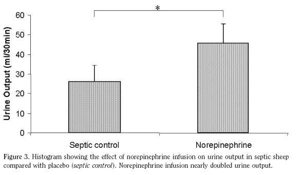 NOREPINEPHRINE in patients with AKI Leone