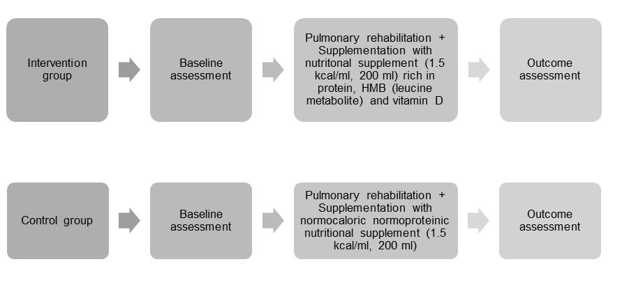 Figure 18 Study design and intervention The supplement/placebo will be given to the patients between breakfast and lunch.