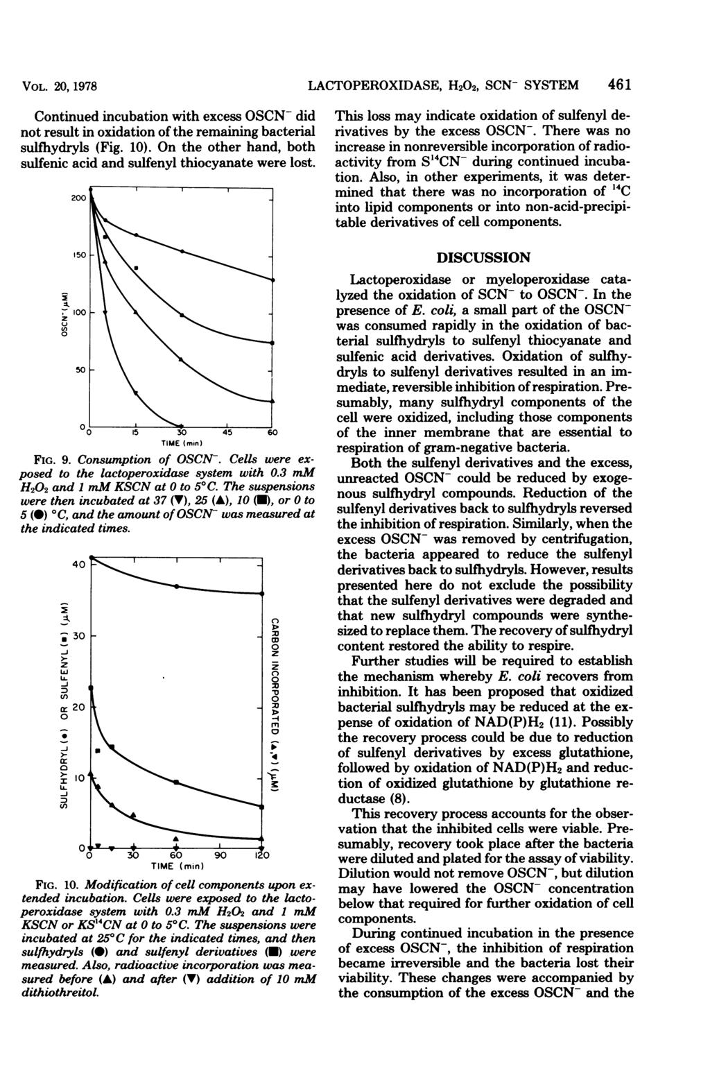 VOL. 2, 1978 Continued incubation with excess OSCN- did not result in oxidation of the remaining bacterial sulfhydryls (Fig. 1).