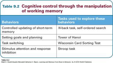 COGNITIVE (EXECUTIVE) CONTROL AND THE CENTRAL