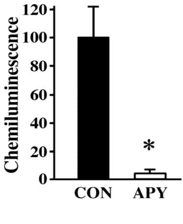 22 A B Figure 2. Comparison of ATP levels in the medium of SCN2.2 cultures.