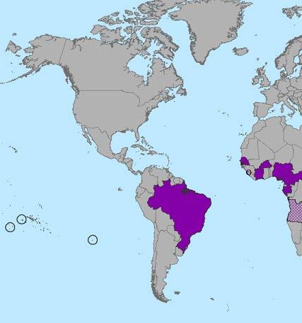 Zika in Brazil: 2015 Oct-Nov: Increase in microcephaly cases reported in NE Brazilian states