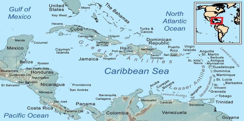 Chikungunya Update Chikungunya in the Caribbean Chikungunya cases were first reported in the Western Hemisphere in the Caribbean in December 2013.