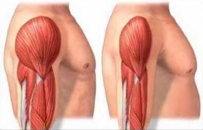 associated loss of skeletal muscle mass