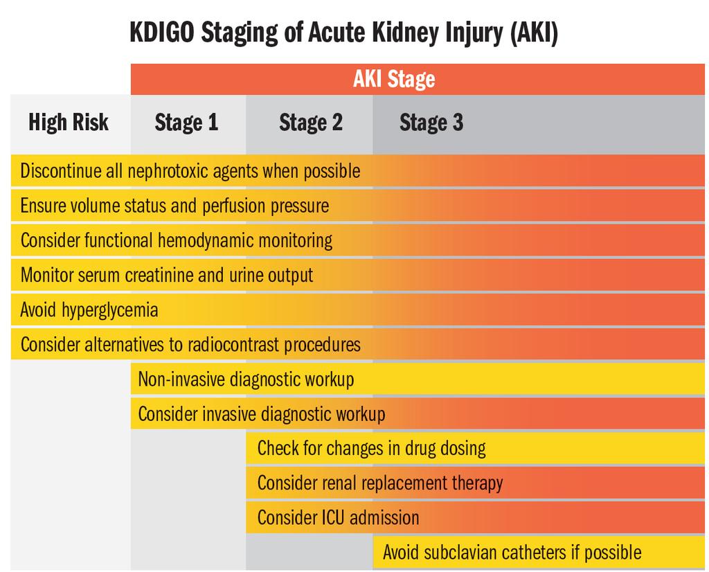 patients are at high risk KDIGO: Kidney Disease Improving Global