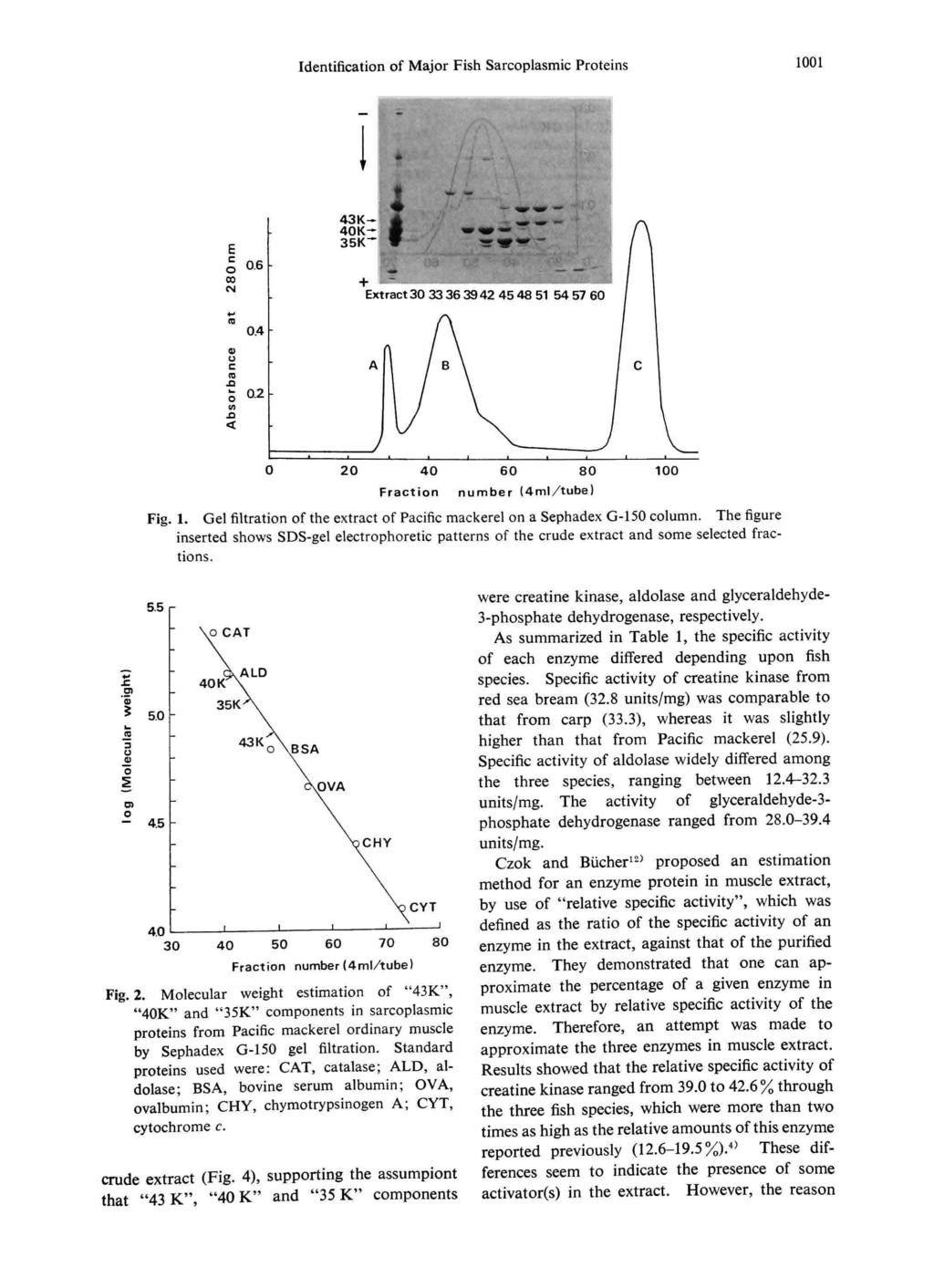 Fig. 1. Gel filtration of the extract of Pacific mackerel on a Sephadex G-150 column. The figure inserted shows SDS-gel electrophoretic patterns of the crude extract and some selected fractions. Fig.