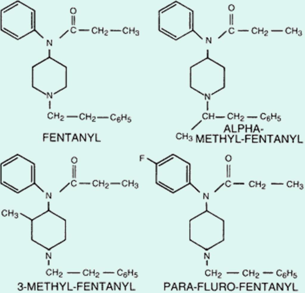 Illicit Fentanyl Analogues Alpha-methyl Fentanyl First illicit derivative to appear on the streets Very simple modification of the fentanyl structure ~200 times as potent as morphine Acetyl Fentanyl