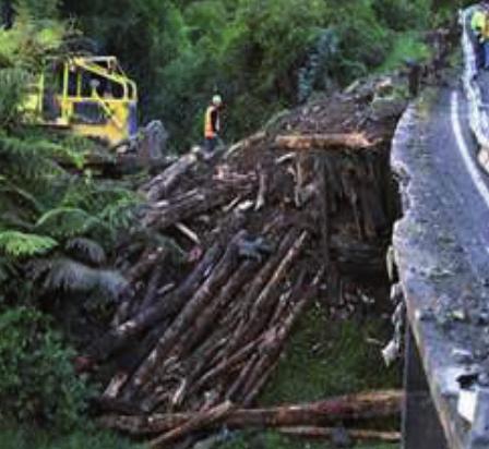 New Zealand research indicated 38% of logging truck drivers were classified as obese, and 10% of had experienced a heart attack,