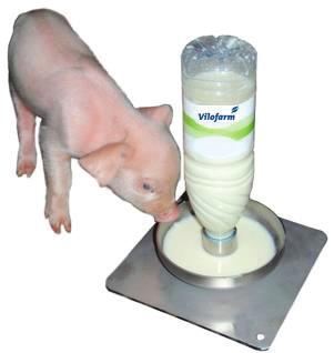 piglets that are born weak Covers all of the piglets nutritional requirements To be provided