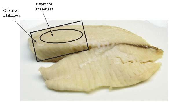 If the segments do not separate easily, then the fillet is most likely not cooked properly.
