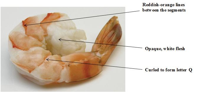 Figure 8: Diagram of Visual Cues for Shrimp (Felice 2011) Shrimp should be kept in the refrigerator until ready to use to reduce the chance of contracting a foodborne illness from consuming the