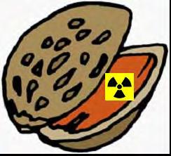 Nuclear Physics and Radiation Biology in a Nutshell Radioactive material emits radiation. Radiation cannot be detected by human senses.