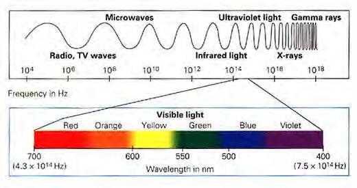 Electromagnetic Spectrum Page 4