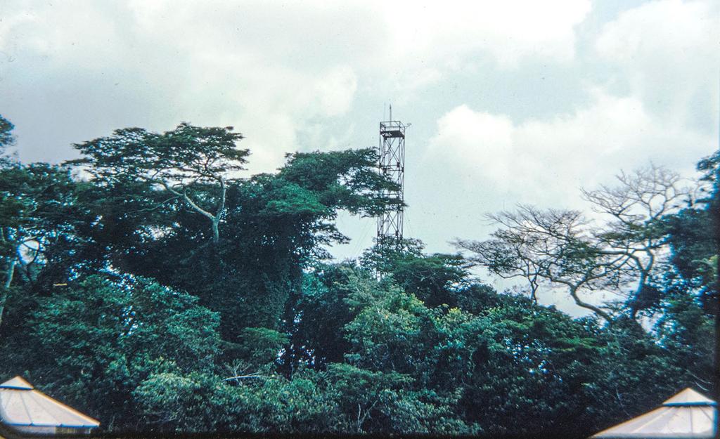 Fig. 1 The 120-foot-high steel mosquito tower in the Zika Forest in 1961 (photograph by Pascal James Imperato) his associates reported on the isolation of 12 strains of Zika virus [7].