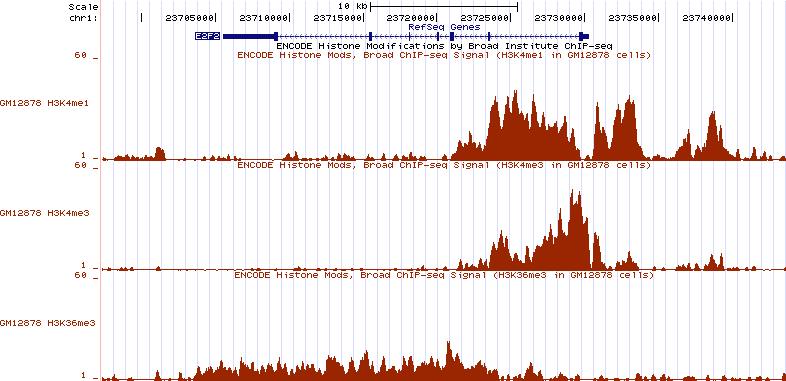Chromatin Marks for Genome Annotation 100+ histone modifications Specificity in: Histone protein Amino