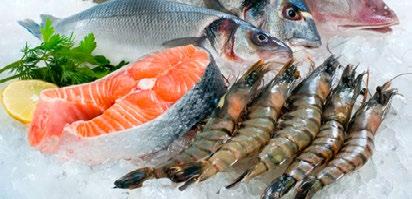 FOODS TO ENJOY FISH & SEAFOOD Fish and seafood are a great source of protein and trace minerals that help to improve cognitive function and balance hormones.