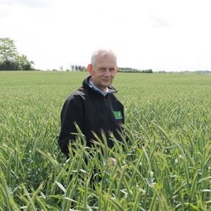 Hybrid Rye High quality milling and baking varieties NOT