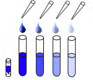 Reagent Preparation Allow the kit reagents to thaw and come to room temperature for 30-60 minutes.