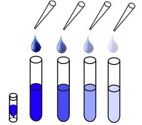Reagent Preparation Continued Standard Preparation Label one test tube as Stock 2 and seven test tubes as #1 through #7.