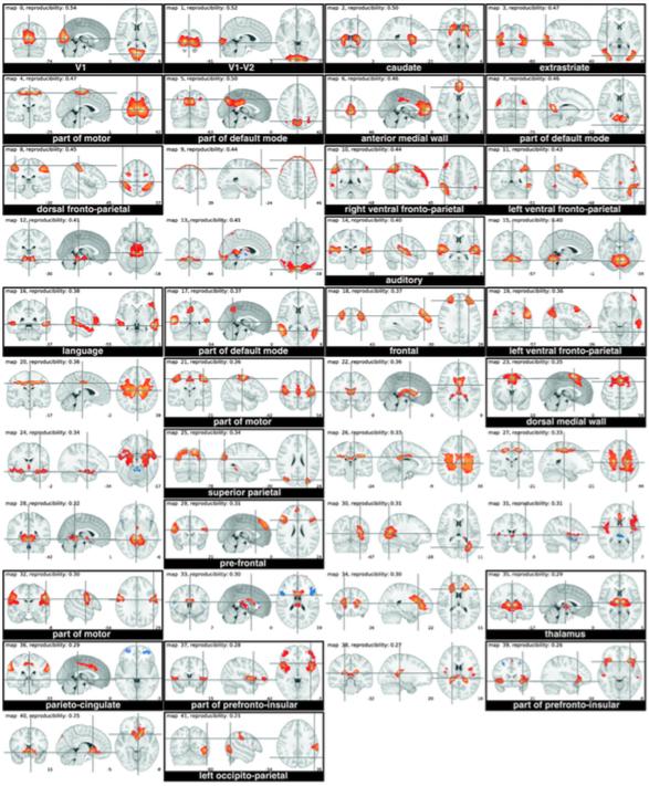 Figure 2.8 Illustration of 42 IC maps extracted by CANICA from resting state dataset.