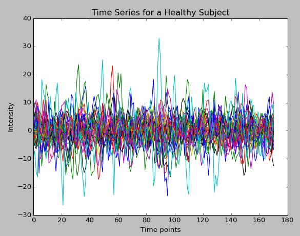 Figure 3.3 Each subject is represented by 40 time series derived from Ridge regression with the rs-fmri data and the group level spatial patterns as input.