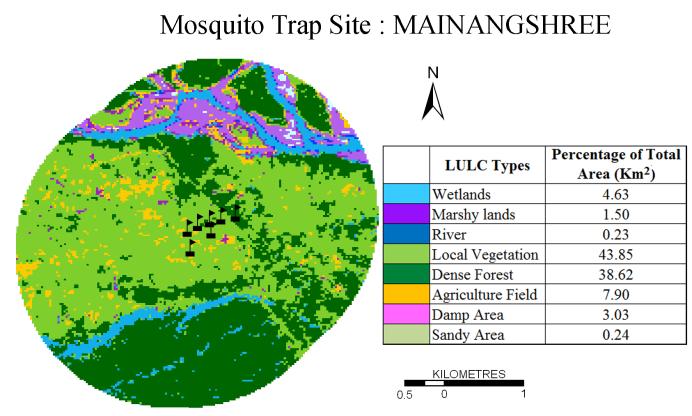 Figure 5.8 (e): Land Use Land Cover (LULC) in Mainangshree under buffer of 2 km from mosquito trap site Table 5.