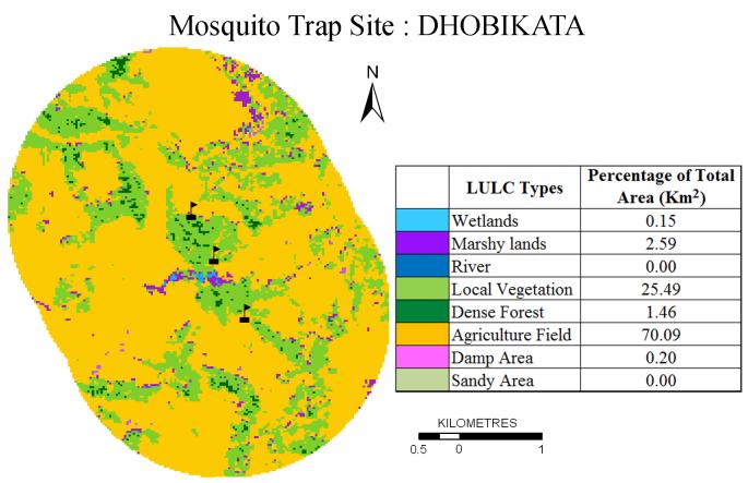 Figure 5.8 (k): Land Use Land Cover (LULC) in Dhobikata under buffer of 2 km from mosquito trap site Table 5.2 (k): Different mosquito species at Dhobikata trap site Anopheles (A+B+C) 31.31 An.