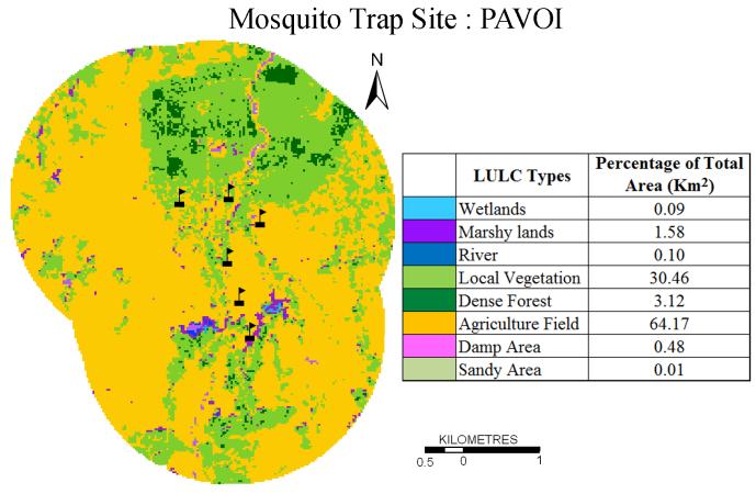 Figure 5.8 (n): Land Use Land Cover (LULC) in Pavoi under buffer of 2 km from mosquito trap site Table 5.2 (n): Different mosquito species at Pavoi trap site Anopheles (A+B+C) 27.74 An. Primary (A) 6.