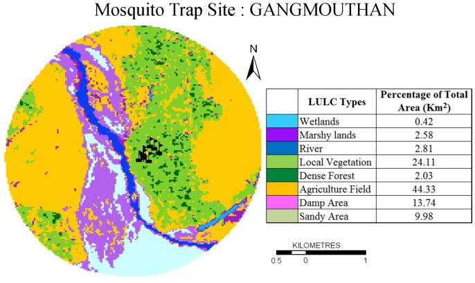 Gangmouthan situated south of Behali PHC near river Brahmaputra with different LULC types consists of 44.33% of agriculture fields followed by 24.11% of vegetation, 13.74% of damp area, 9.