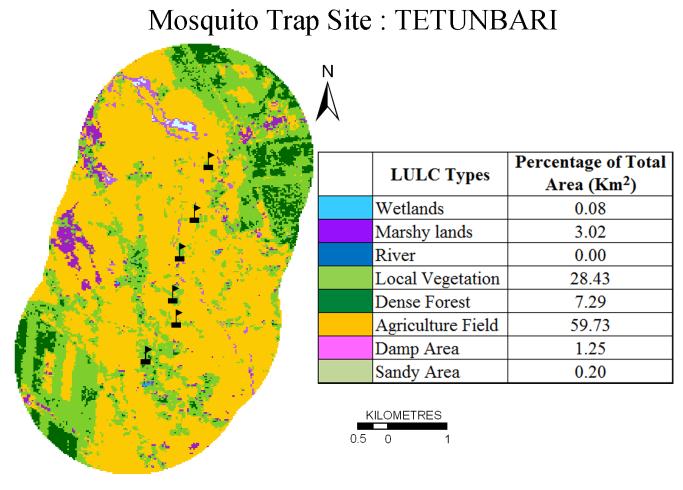 Figure 5.8 (s): Land Use Land Cover (LULC) in Tetunbari under buffer of 2 km from mosquito trap site Table 5.