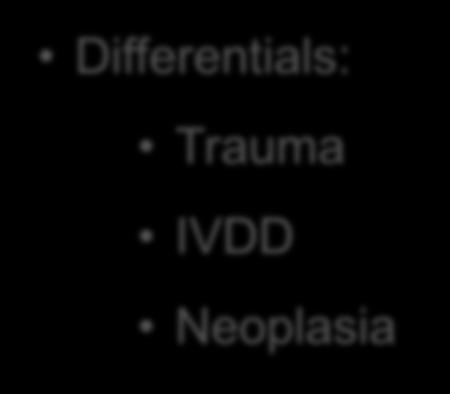 the past few days Differentials: Trauma IVDD Neoplasia Radiographs