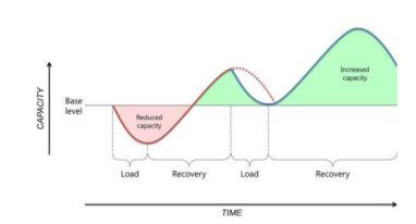 Monitoring/Managing Load Training Dose-Response What is Load? External load (Distance, Velocity etc.) Internal load (Heart Rate, RPE etc.) Why is it important?
