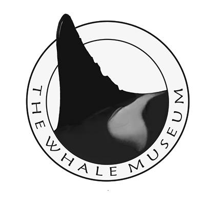 We are glad you chose to visit The Whale Museum! Please feel free to explore as long as you like and ask us questions.